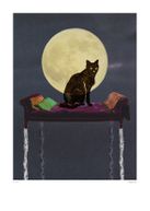 Catnip black cat